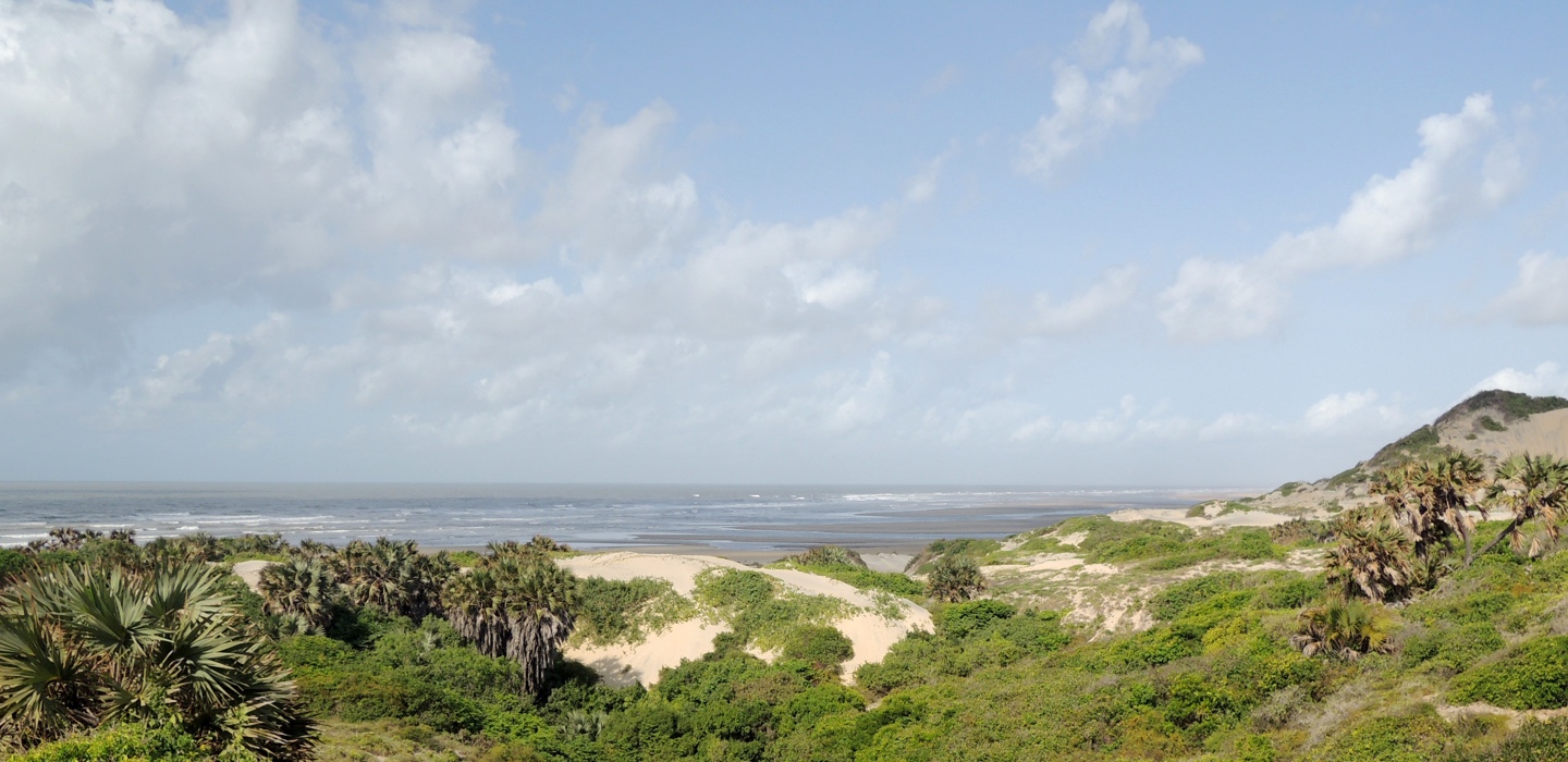 Travel Advance - With years of experience and a valuable network